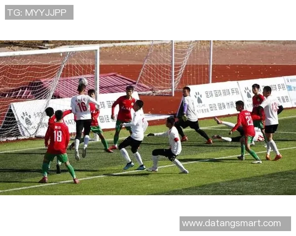 上海足球队的转型之路:从传统强队到现代战术的深度解析 上海足球队的转型之路:从传统强队到现代战术的深度解析